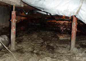 Old, corroded crawl space jack posts in Syracuse.