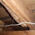 A repaired floor joist in a Fairport crawl space.