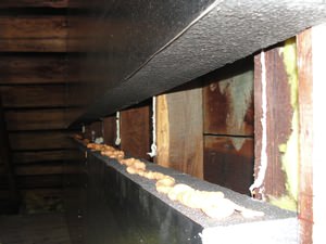 An effective attic insulation system in a Penfield home