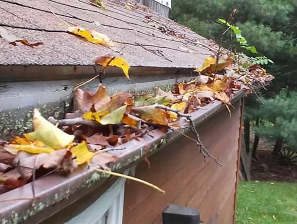 The Finger Lakes clogged gutters