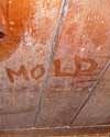The word mold written with a finger on a moldy wood wall in Pittsford