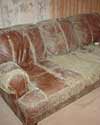 furniture in a Hilton basement destroyed by mold and dust mites