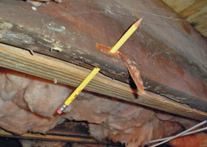 Destroyed crawl space structural wood in Canastota