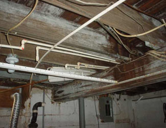 a humid basement overgrown with mold and rot in Brockport