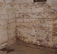 Peeling, Chipping, Basement Wall Coatings in Phelps
