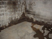 flooded basement with leaky basement walls in Ontario, NY