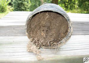 clogged french drain found in , New York