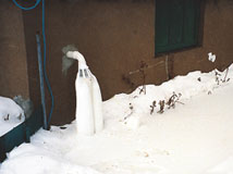 IceGuard® Installed Lansing