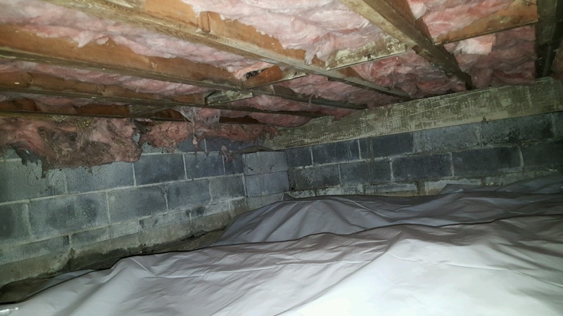 Crawl Space Insulation in Syracuse, NY