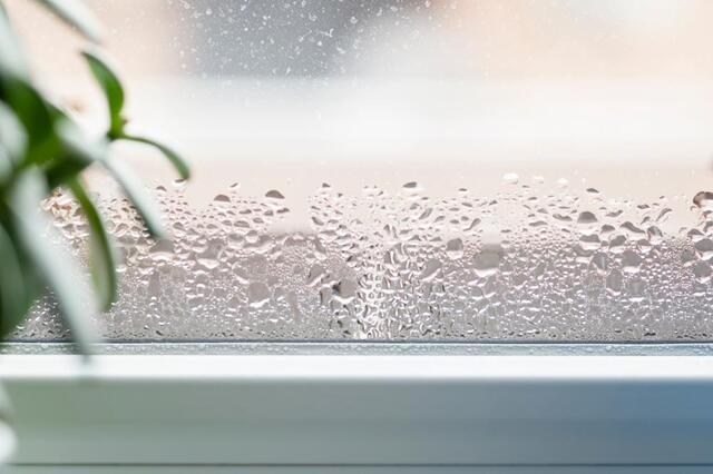 window with condensation