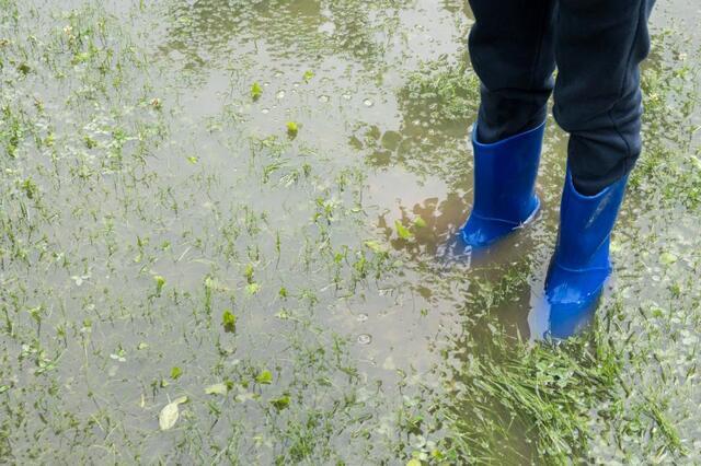 child with rainboots standing in a puddle in the yard