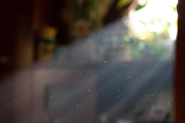 sun beam shines on dust in home